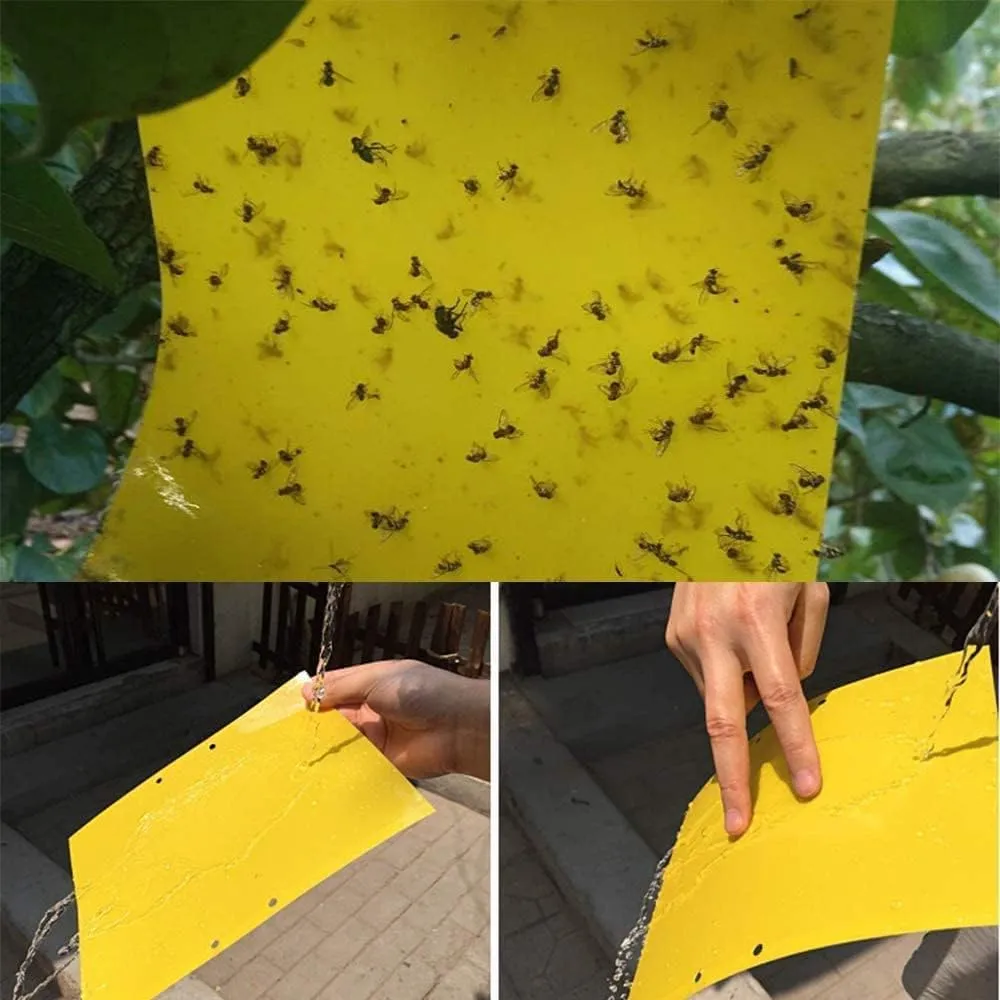 Yellow Sticky Fly Traps (20 Pieces) for Pest Control