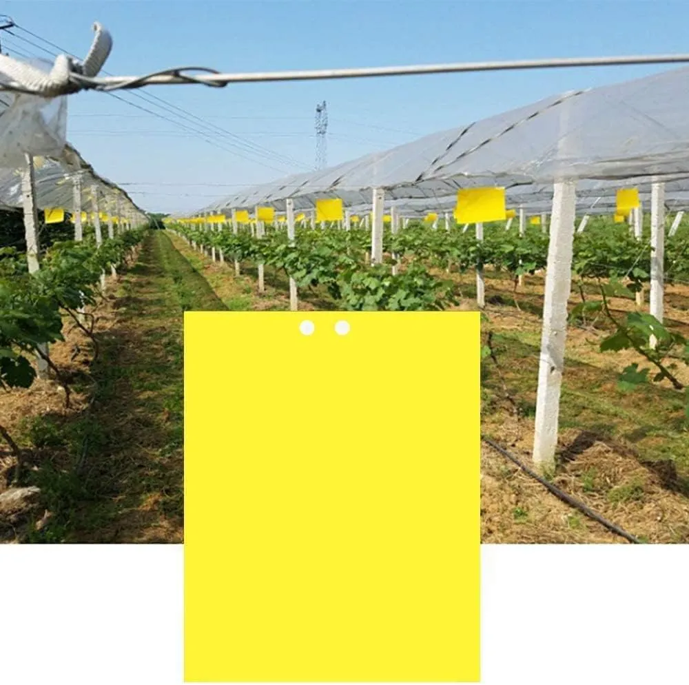 Yellow Sticky Fly Traps (20 Pieces) for Pest Control
